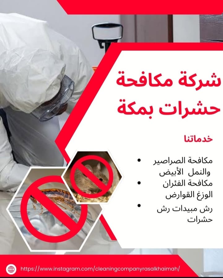 شركة مكافحة حشرات بمكة