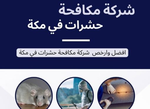 شركة مكافحة حشرات بمكة: حلول مبتكرة للقضاء على الآفات وضمان بيئة نظيفة في المدينة المقدسة شركة مكافحة حشرات بمكة
