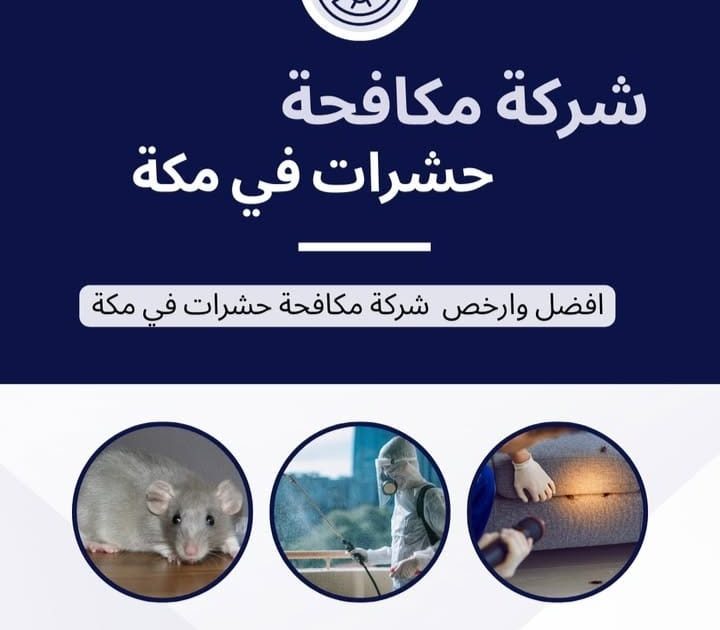 شركة مكافحة حشرات بمكة