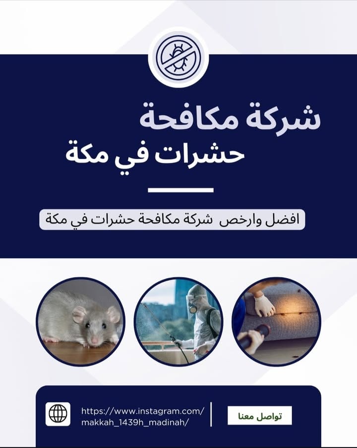 شركة مكافحة حشرات بمكة