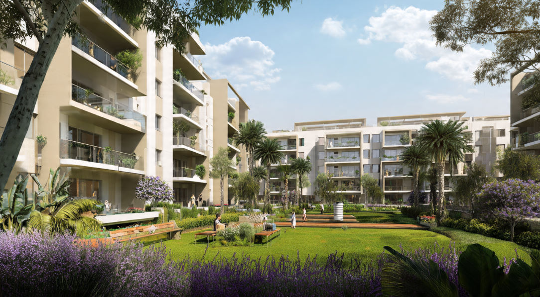 ماذا تعرف عن شمال الرحاب