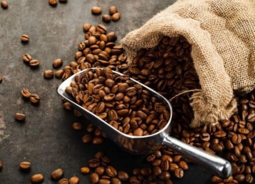 أفضل قهوة مختصة